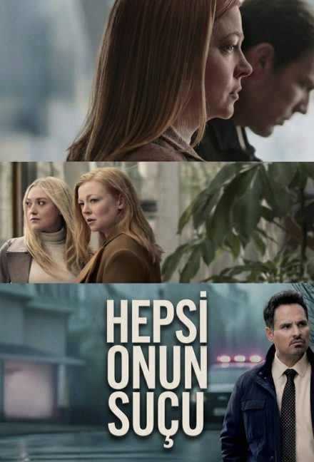 All Her Fault afişi