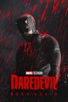 Daredevil Born Again