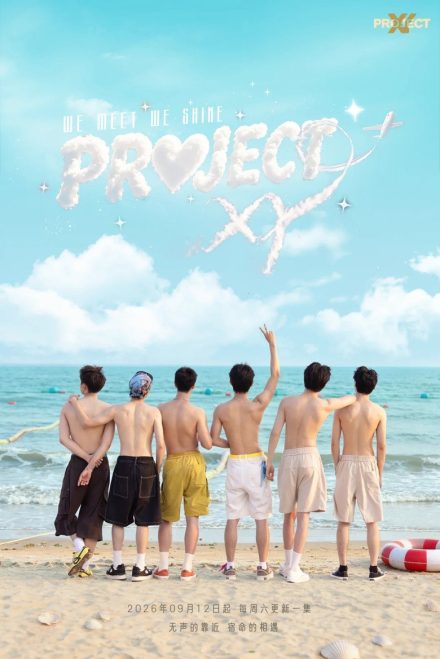 PROJECT XY afişi