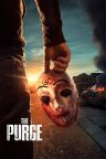 The Purge - Arınma Gecesi