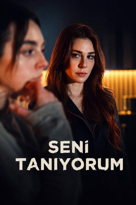 Seni Tanıyorum afişi