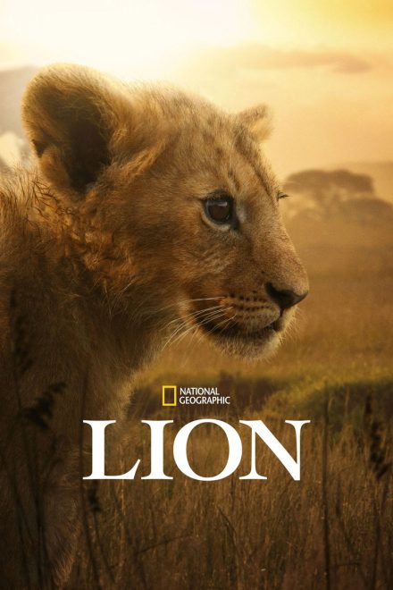 Lion afişi